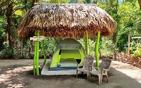 Eco-Camping El Frutal